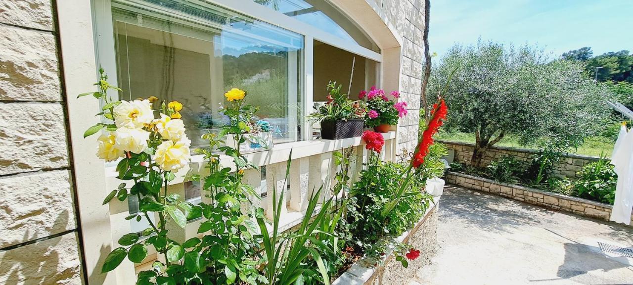 Apartament Darija & Pero Pucisca